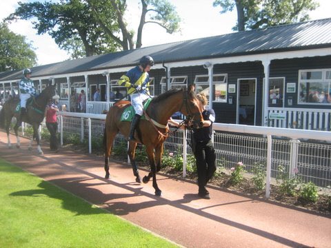 jamiesnowden's tweet photo. Very sorry to say goodbye to this very special horse. #KnightonCombe winner of @UttoxeterRaces summer national. RIP https://t.co/ulvLKeV9KU