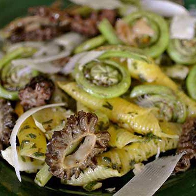 TasteofViva's tweet photo. News - https://t.co/aVgjNh7jex Spring begins to appear so do Wild ramps, fiddlehead ferns, and Morel mushrooms. Join our waitlist to be instantly notified of availability. https://t.co/d3Yt1AGtrH