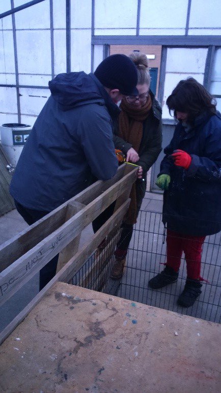 Portland_F_S's tweet photo. During Horticulture sessions here @PortlandCollege learners have been building a cart to display and sell their produce. It's great to see their maths skills put to good use - as they also had to check the cart would fit through the doors! #MathsWeek2019 #MathsCreative https://t.co/FXAMvi5bhp