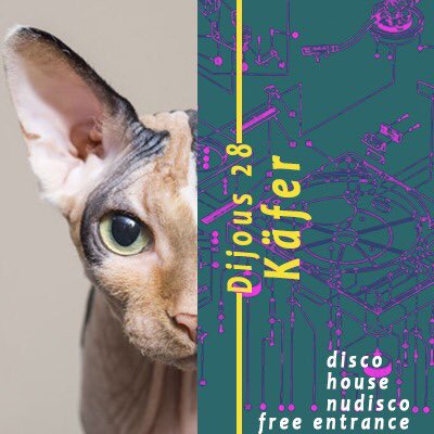 Este jueves en nuestra programación de MIAU MIAU tenemos a dj KÄFER con lo mejor de disco house nudisco
