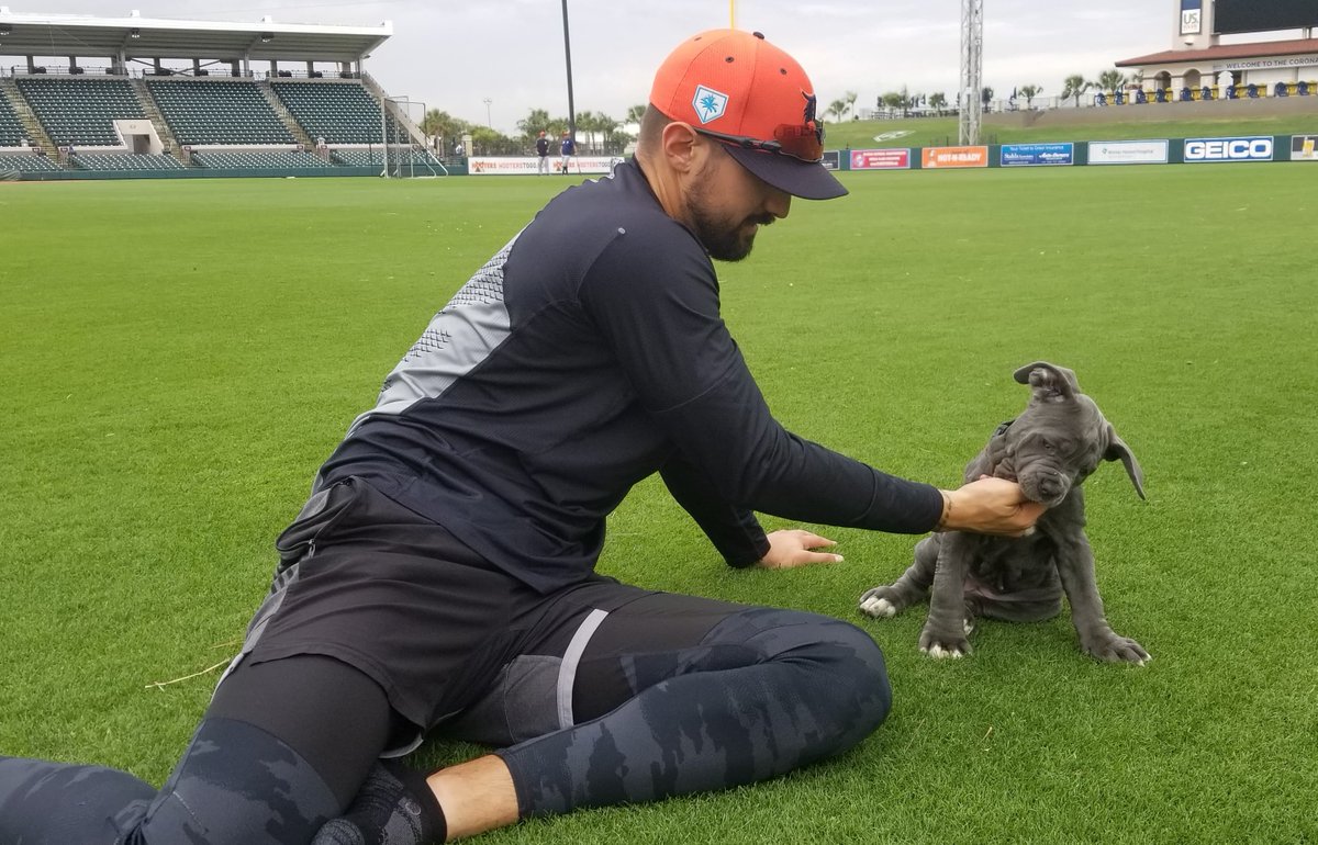 tigers's tweet photo. 🚨 NICK GOT A PUPPY 🚨

#TigersST https://t.co/v0MMza4zY8