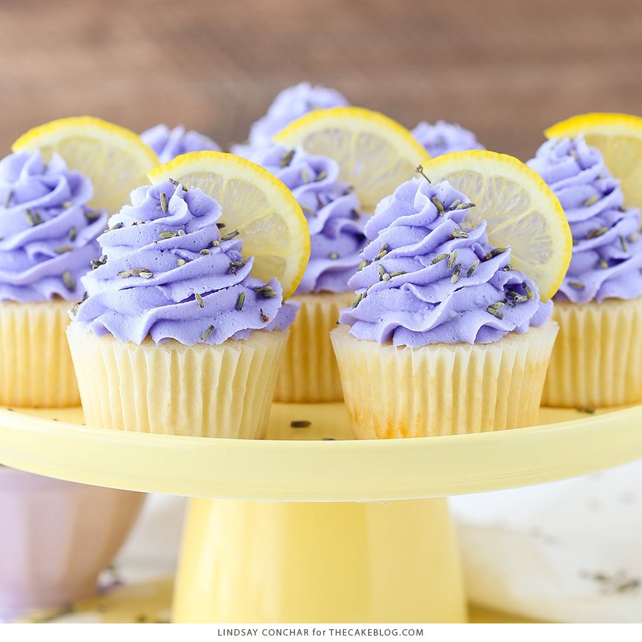 thecakeblog tweet media
