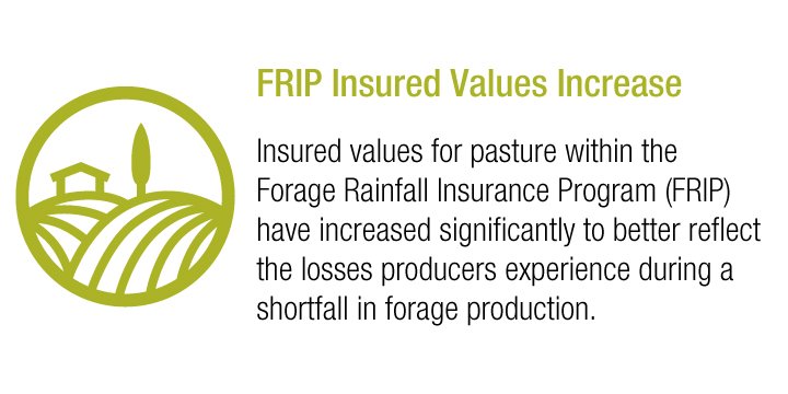 skcropinsurance's tweet photo. 2019 Crop Insurance Enhancements: Insured values for pasture within the Forage Rainfall Insurance Program have increased significantly to better reflect the losses producers experience during a shortfall in forage production. #SCIC #SaskAg #2019CropInsurance @SKAgriculture https://t.co/3k4bkjtGL0