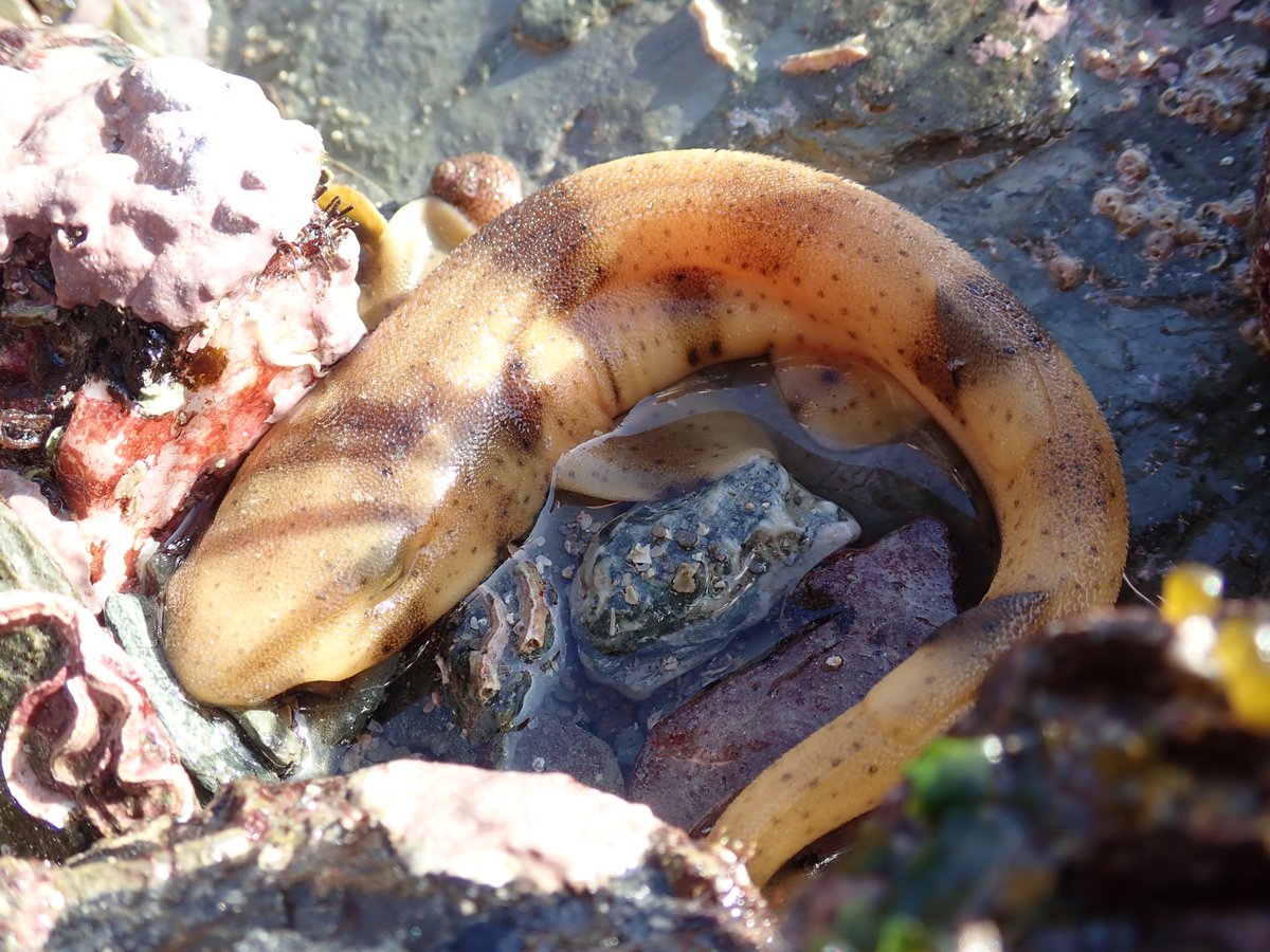 Heather Buttivant tweet media