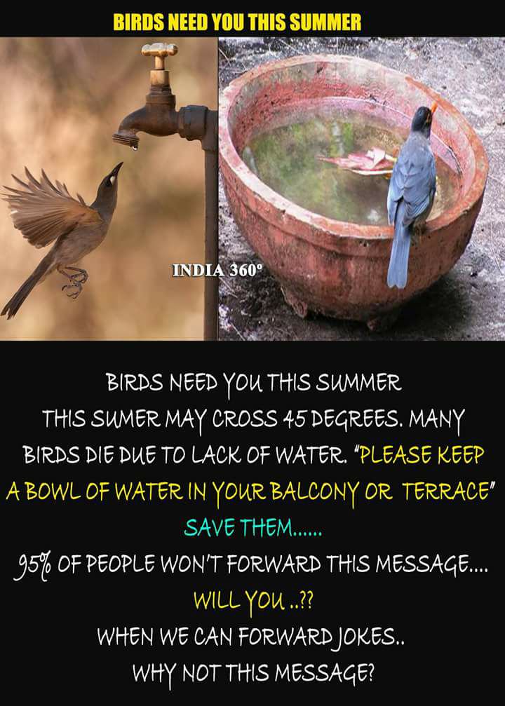 sudhesh_c's tweet image. 