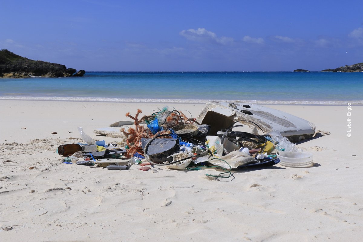 unep_espanol's tweet photo. Chile prohibió las bolsas de #plástico. 🛍️
Jamaica y Perú vetaron plásticos y envases de un solo uso. 🗑️
Brasil trabaja en un plan de nacional contra la #basuramarina. 🌊

Países de #ALC han tomado medidas ejemplares a favor de #MaresLimpios. Conócelas: https://t.co/MXwY1fjFmH https://t.co/p1Y2O9mEw0