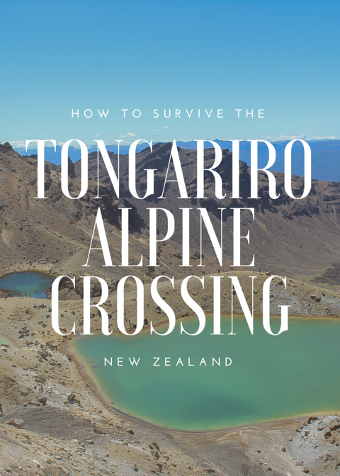 WeAreWandering7's tweet photo. How to survive the Tongariro Alpine Crossing (Northwest of Mordor) https://t.co/7Ee3qnZNvH https://t.co/KeOdihfDVs