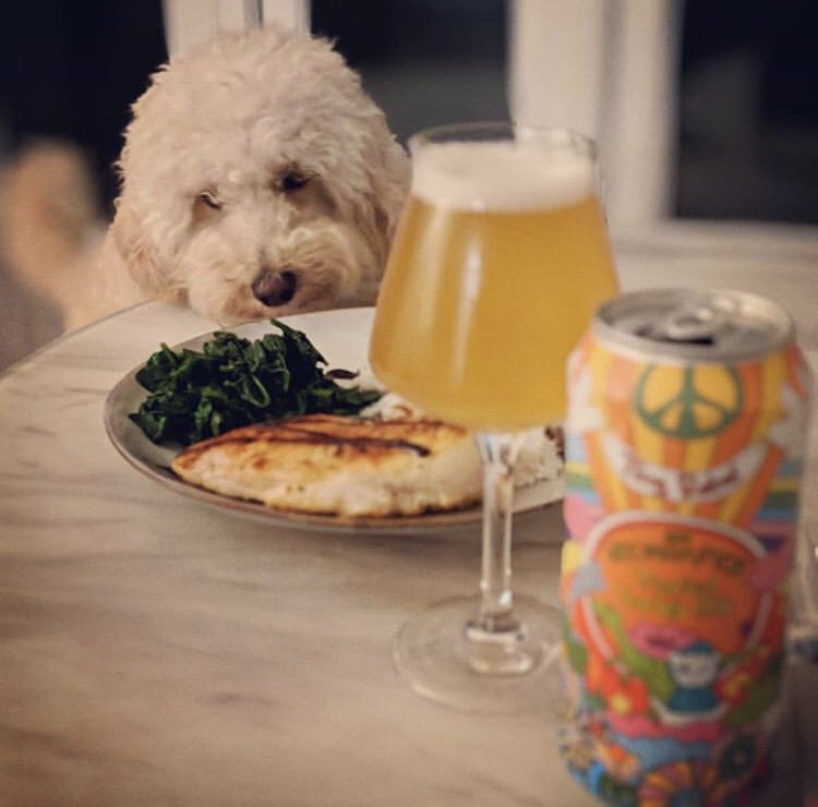 A Review By Brew tweet media