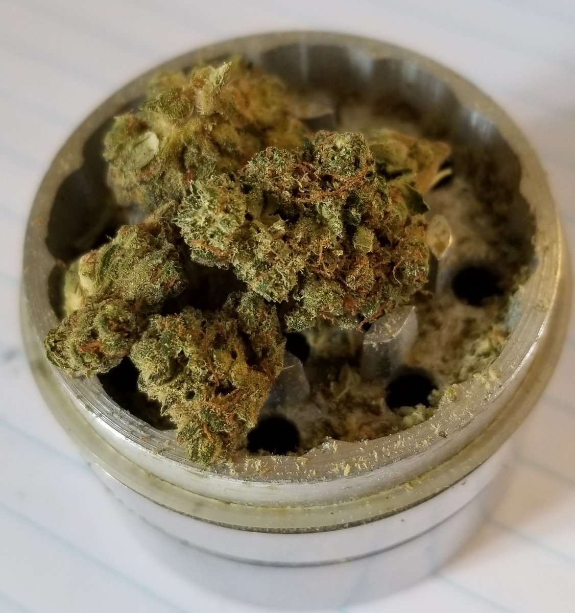 puffinjoe's tweet photo. I love dance hall and similar strains to get me through the day a very productive high! Gitty up go!!!! https://t.co/dLyJV5viTd