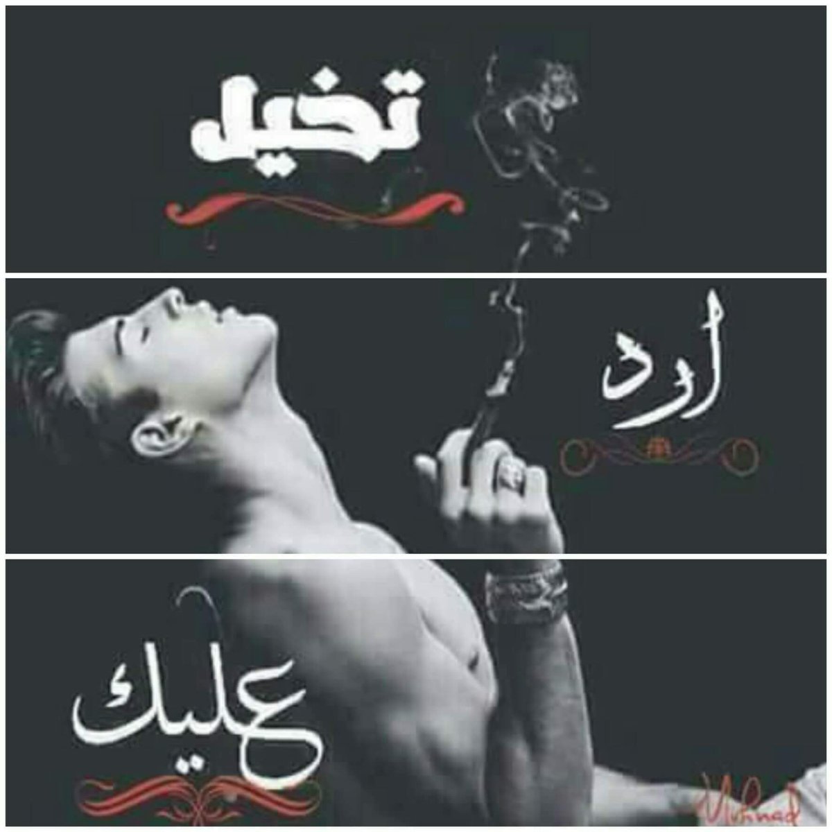 نـحن لانڪتب الــتاّريخ ❂بل 
_____________________
التاريخ يكتّــبنا ღ ❃... 
۩❈_________________❈۩

فــنحن اہبــہنا’ء سوريهღ... 
_____________________❥
❈______  🎤ـــــــــــــــــــــــــــــــــ🏋🏻‍♂ 
♕❉✏مـإﭑ #تـهزونـيﭑ➸ لـو جـبـتو جيوشہ{{#عـسڪـر}}مـدرب ❁