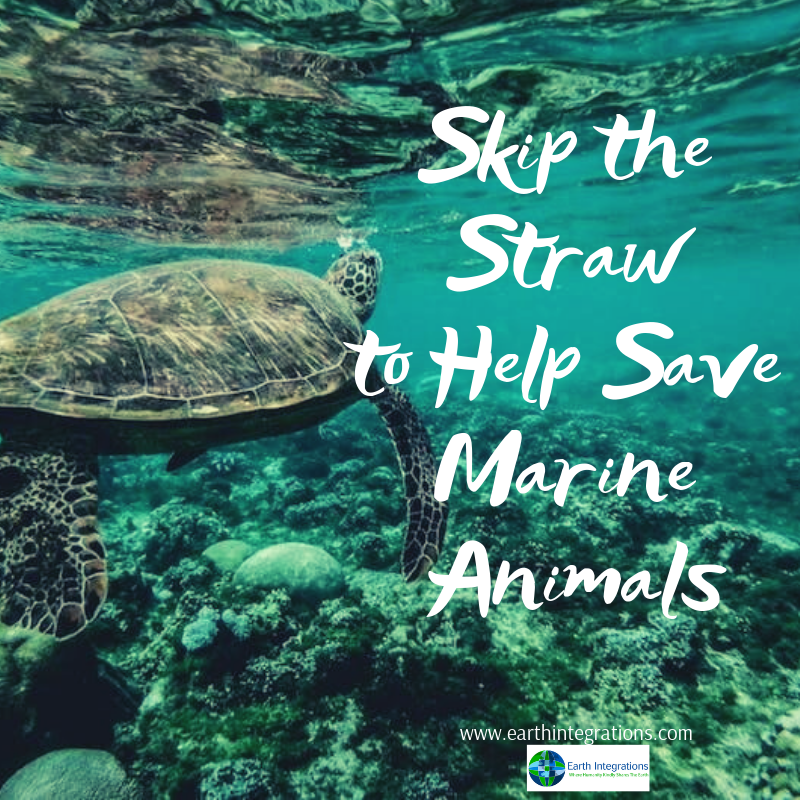 #savemarineanimals #marineanimals #plasticstraw #banplasticstraw #plasticstraw #notoplastic #banplastic #ocean #saveoceanlife