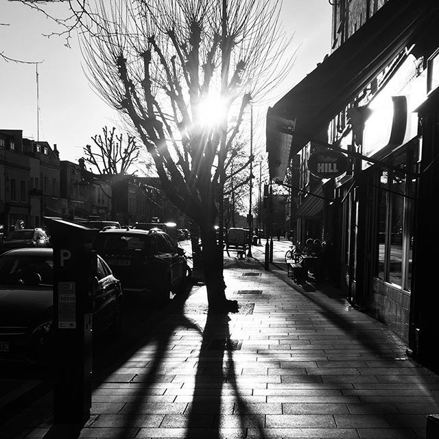 Just a typical summers day in winter.  #london #londonlife #londonphotography #globalwarming #environment ift.tt/2T3PwnM