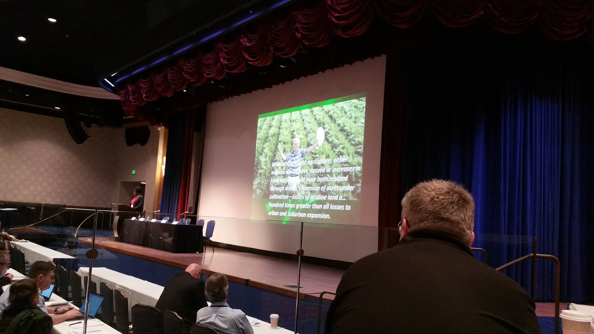 @USDA ARS Administrator Dr. Chavonda Jacobs-Young addressing the 40th #sugarbeet Technologists meeting at the Happiest place (Disneyland) talking about the Happiest crop #NormanBorlaug #agriculture Many Thanks to @USDA for #Research @Melvin_Bolton @Kwebb678 and other researchers