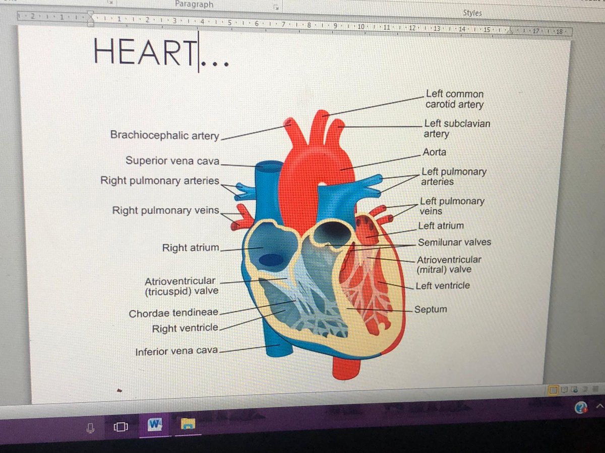 MastermindMaxK's tweet image. Last week I had the chance to visit Blackpool Victoria Hospital and learn more about the heart! I did a presentation for the Doctors and Nurses and I was lucky enough to hold a heart stent which costs a whopping £75,000! #heart #surgery #heartstent #surgeon #hospital #HeartHealth