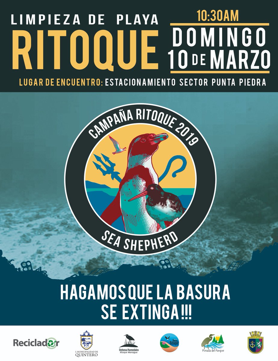 Sea Shepherd Chile tweet media