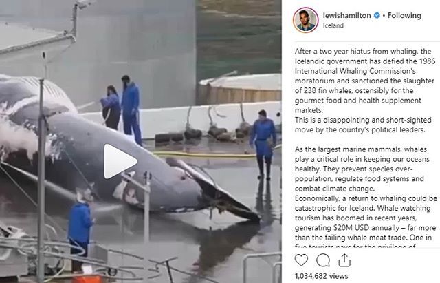 WhaleWarsRacing's tweet photo. @lewishamilton What better way to spread the word about this important cause than to drive for Whale Wars Racing at the @24hoursoflemons Thunderhill race on May 25-26? #savethewhales #24hoursoflemons https://t.co/BTUlXBZVOy https://t.co/1edka4PCzG