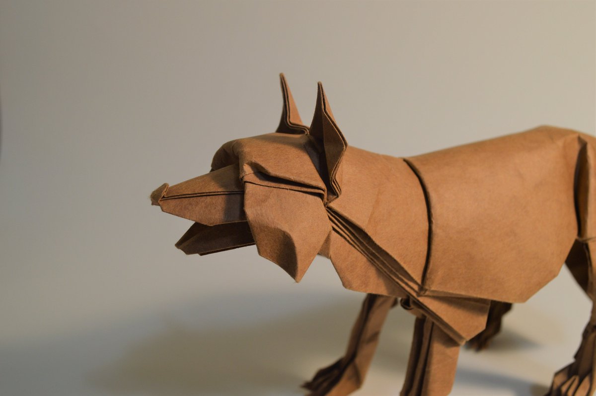 Maybe I should revive this account? Just random origami for now. This is a refold of my wolf, diagrams available in my book "Origami Nature Study".