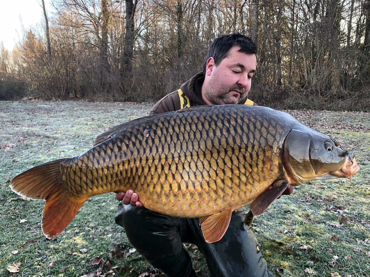 atomictackleuk's tweet image. Check out this frosty morning banger for our very own Matt Hart.

Ounces under 40 this stunner fell to Matt's tried and very trusted 35lb Jel-E-Wyre Multi rig and size 5 Sabre hooks.

Well in Matt. #NoHype