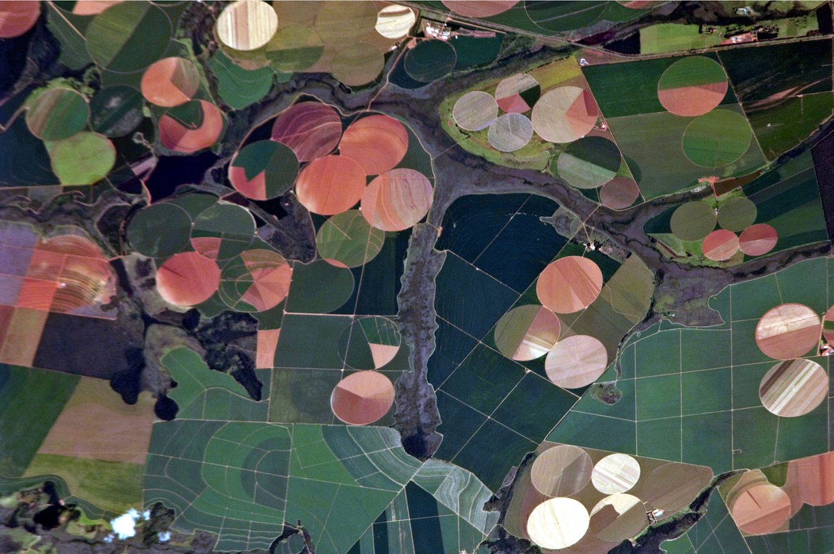 CapsCoalition's tweet photo. Today we launched a #DataInfoFlow project report, delivered by @unepwcmc on behalf of the Coalition. The report assesses data use as part of natural capital assessments, identifies challenges, & aims to build consensus around innovations & solutions. https://t.co/jooKOSJjl3 https://t.co/cv54XQyOio