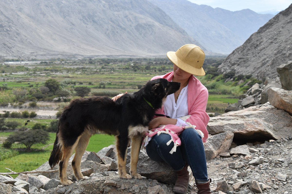IFRArchaeology's tweet photo. Nothing like a little canine companionship when you're hiking around the Peruvian Andes, identifying and mapping #archaeological sites! #hikingdogs #workingdogs #dogsoftwitter #PeruvianAndes #StudyInPeru #fieldschool https://t.co/szudBIpvcr