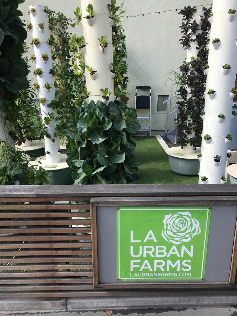 VeronicaFerres's tweet photo. In den #SunsetGowerStudios in LA wรคchst der Salat fรผr die Mitarbeiter im eigenen vertikalen Gemรผsegarten. So geht gesunde urbane Kรผche. Super Idee! #Hollywood, #urbankitchen
At #SunsetGowerStudios they grow their own salad vertically, great idea for a healthy urban kitchen! https://t.co/mgYH2m84V2