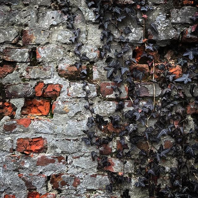 NorbertJot's tweet photo. #polska #poland #jerzmanowice #wall #abandoned #brickshiding https://t.co/6Q7uvB9KzT https://t.co/GE8j8pJ5DE