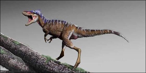PangeaReview's tweet photo. ¡Nuevo tiranosáurido enano! Para quienes aún no lo hayan leído :) #dinosaurio #tiranosáurido #hallazgo  https://t.co/u0nZoc74qp https://t.co/3k8gB7XH7X