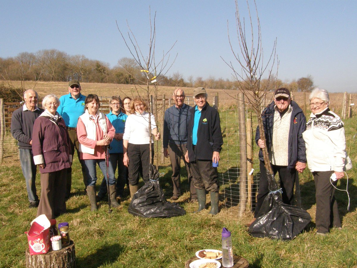 StComOrchard's tweet photo. Planted another 8 trees in 2 of our orchards, all sponsored by local people. In just 5 years we have planted over 100 fruit trees in the area. Thanks to @wildsussex for supply of locally sourced sweet chestnut posts, and @keepersnursery for quality fruit trees. https://t.co/D5pZ8Xkkx3