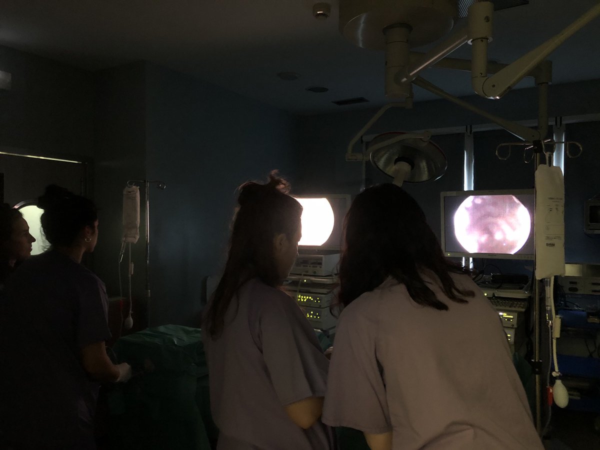 CTF_ASACEC's tweet photo. Terminamos el segundo módulo del “Curso de Formación en Cirugía Endoscópica para Residentes de Ginecología (R1-R2) de Galicia” Organizado por el CTF en colaboración con todos los Servicios de Ginecología de Galicia.  #SEGO  #SGOX https://t.co/EC1SxfFmkc