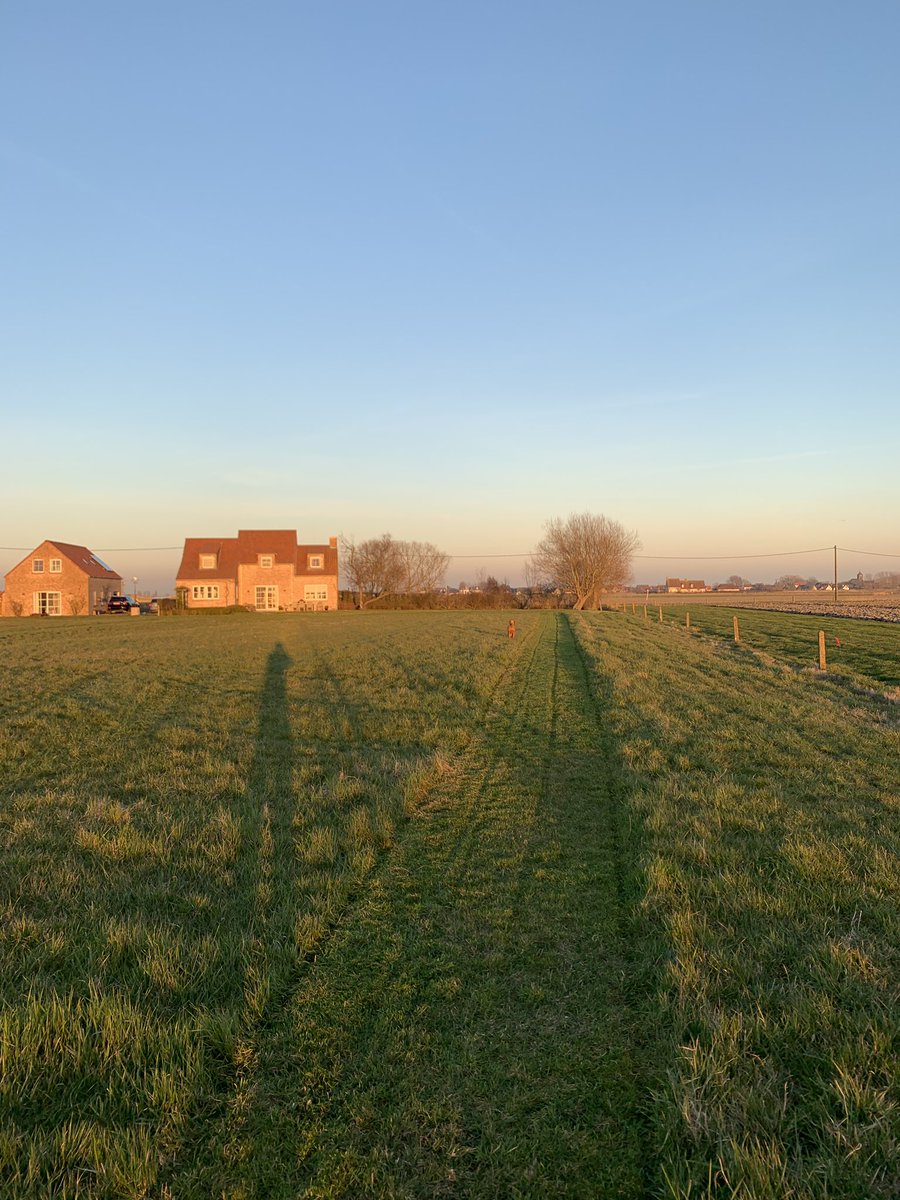 First lawn mowing of the season is always the most satisfying! 😊