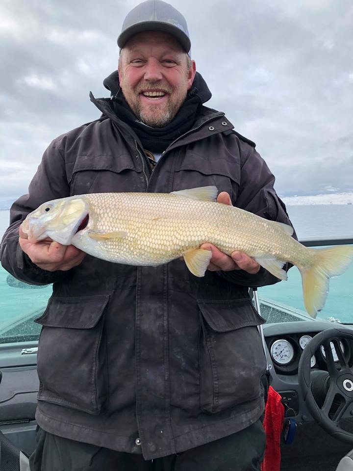 KUTV2News's tweet photo. Congrats to Nathan VanderLinden who held this fish but also now holds the record for the Bonneville whitefish that he caught on Bear Lake. Photo via @UtahDWR https://t.co/R4suqvz0FS