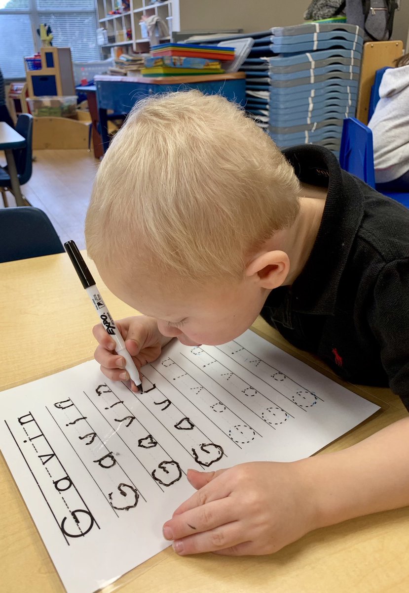 ECDC/Little Hedgehogs tweet media