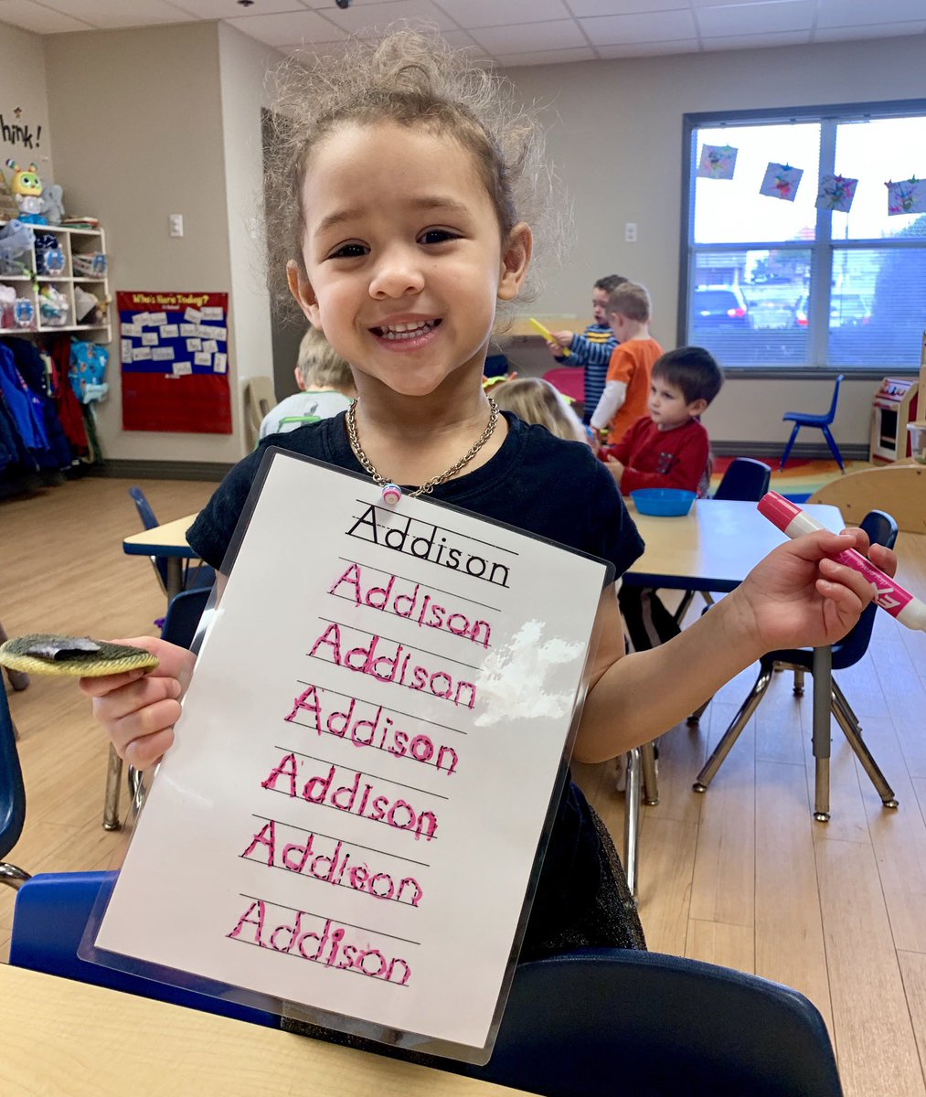 ECDC/Little Hedgehogs tweet media