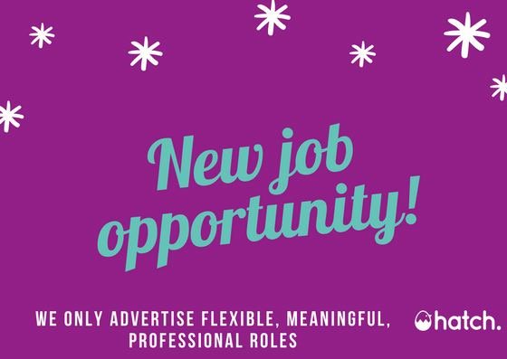 lets_hatch's tweet photo. Available role working for the IT Delivery Manager return-to-work programme (Home Office) offering placements in Digital, Data and Technology. See the Hatch jobs page link below for more information and how to apply ๐
Thanks to @2to3days
https://t.co/ncB21HaEpD ๐
#letshatch https://t.co/atGWSdSXEY