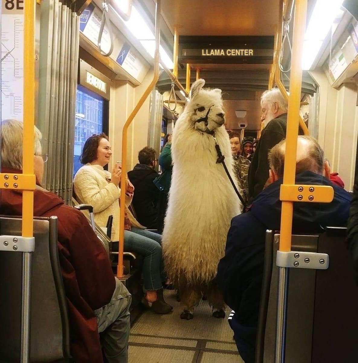 trimet's tweet photo. https://t.co/HLTiD39byq