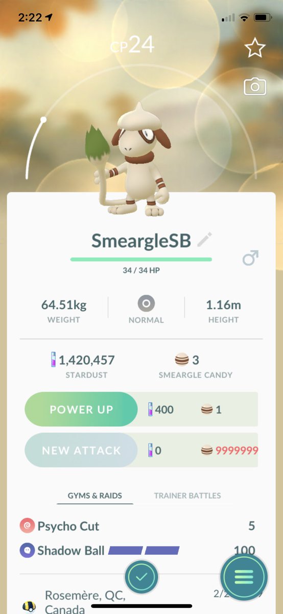 geekingcomfort1's tweet image. Anyone want a legacy move smeargle?? Shadow Ball... #PokemonGO #Smeargle #legacymove @MYSTIC7 @WhatUpMC @trnrtips @TheSilphRoad