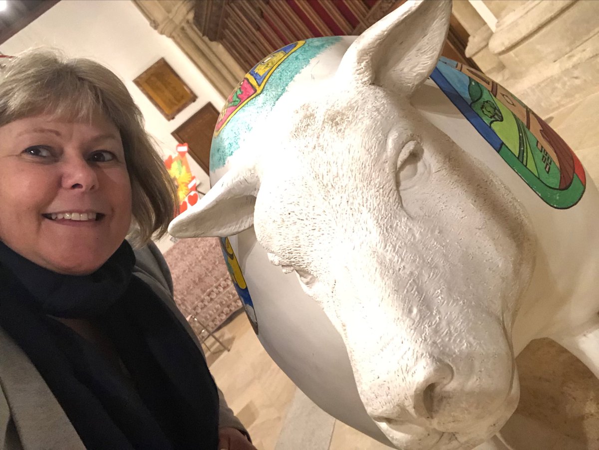 Howiechick's tweet photo. At North Cotswold Deanery Synod and look who I bumped into #goodshepherdproject @GlosDioc @glosdiocschools https://t.co/Imf0wIQQvC