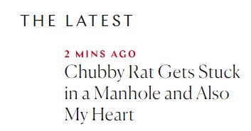 My husbands wedding vows to me