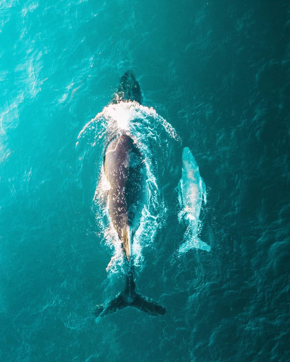 Sydney, Australia 🌊 | Photography by Jack Fontes