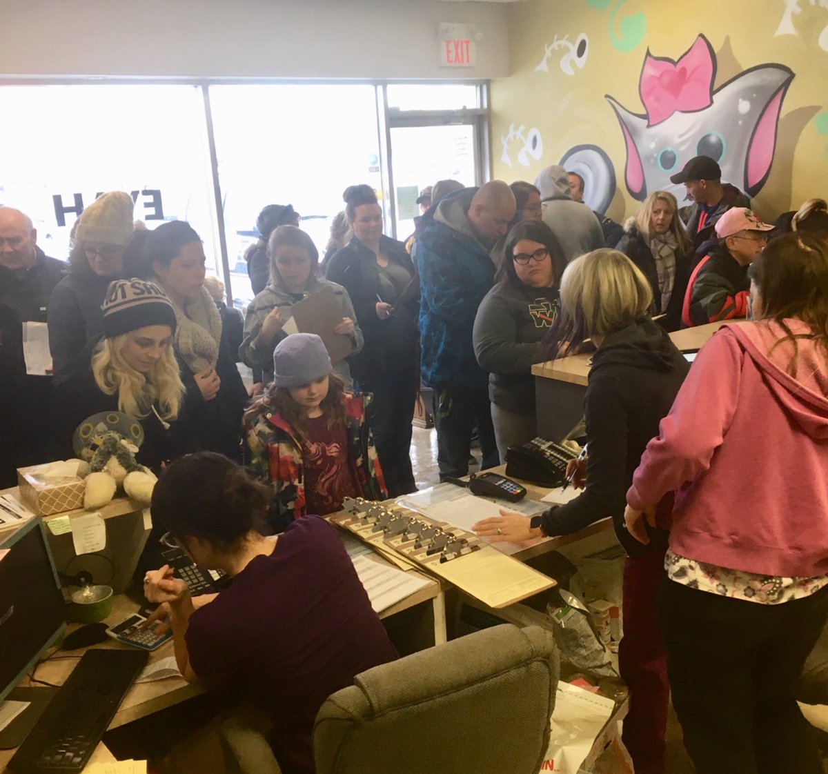 EVAHLondon's tweet photo. #WorldSpayDay EVAH is tripling our daily numbers of spays/neuters for low income families, and outdoor/barn cats &amp; rescue kitties today! Amazing team, fantastic volunteers. Working together = SUCCESS! https://t.co/Yf1mehy9yC