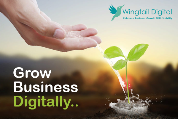 WingtailDigital's tweet photo. Grow your business with Digital Marketing for effective &amp; fastest way to connect targeted customers &amp; helps to convert them into consumers.

Ph/WhstsApp: +919831747365 
Email: info@wingtaildigital.com
Website: https://t.co/TPH6svwvz7

#business #strategy #DigitalMarketingServices https://t.co/29slzbAHWi