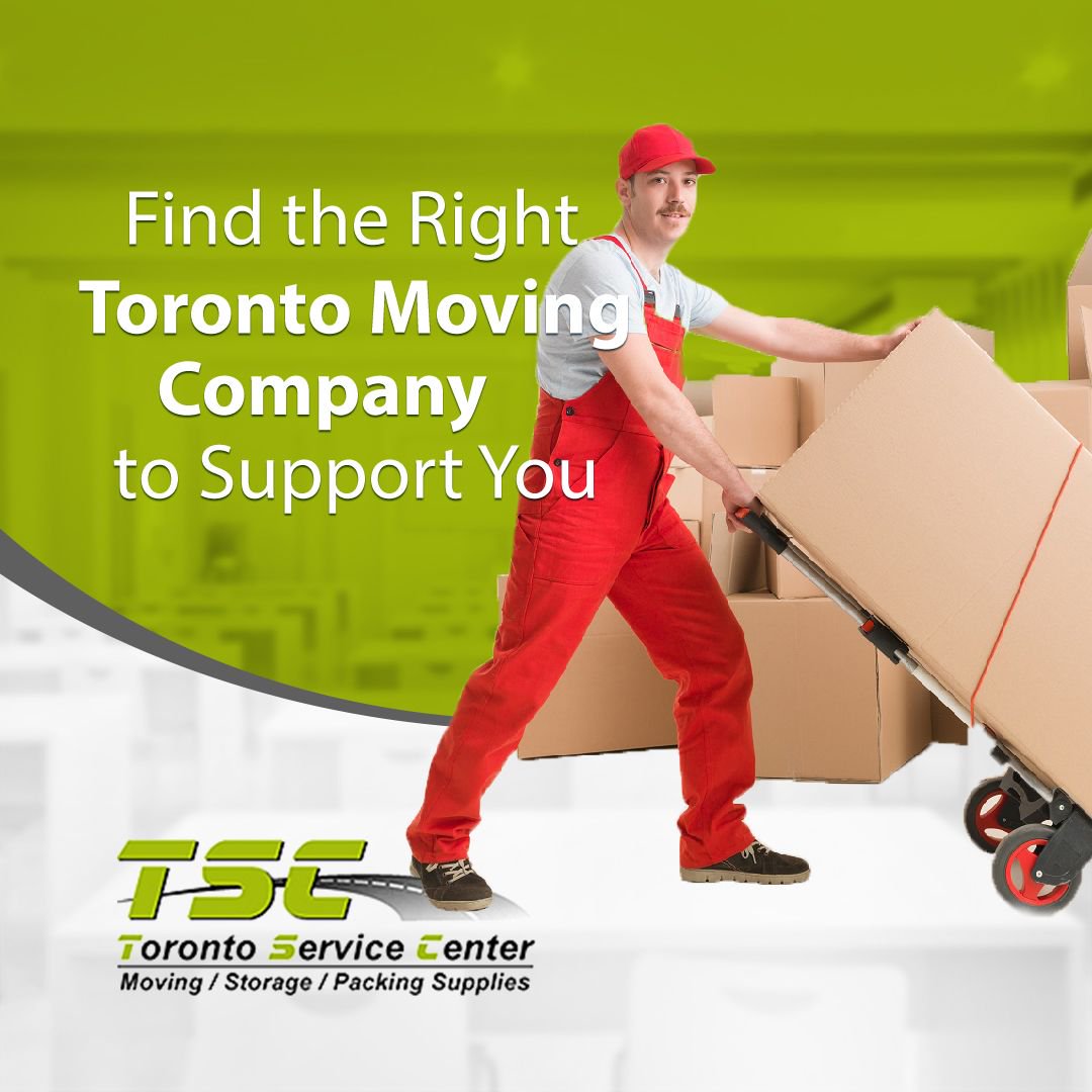 moversintoronto's tweet photo. How to Find the Right Toronto Moving Company to Support You?

#Movingcompany #Moving #Movers #Movingservices #TorontoMovingcompany #Bestmoving #Packing #Packer #Movingsupplies #Toronto 

https://t.co/h6uPMQU6q3 https://t.co/1jmi5FfT1n