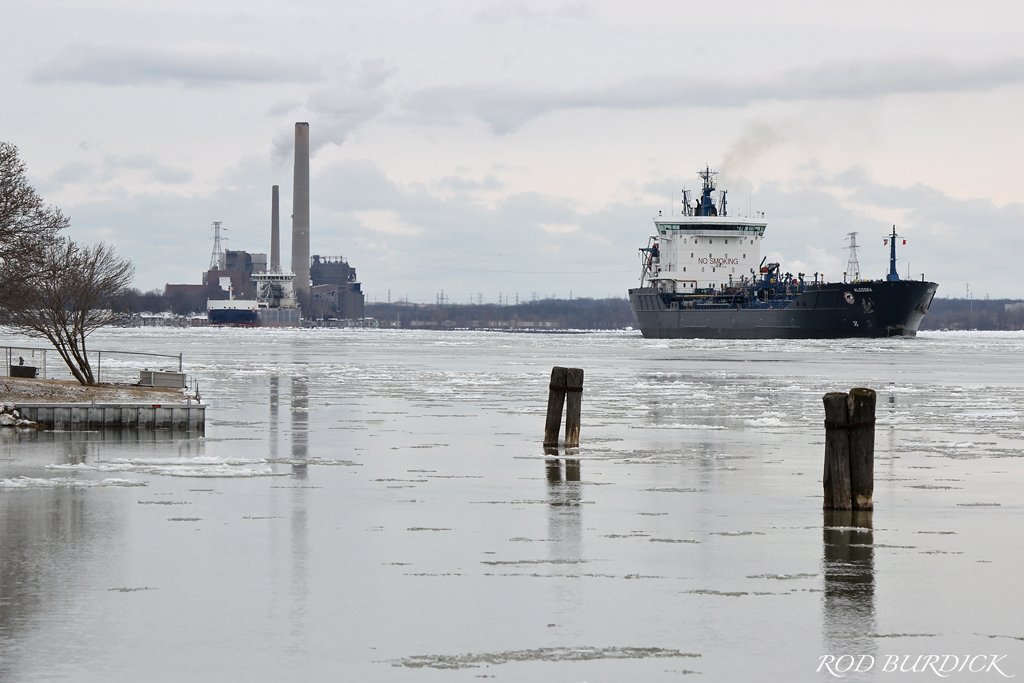 RodBurdick's tweet photo. @algomacentral
February 26, 2019
#algosea #algomasault #stclairriver https://t.co/i5w7IGVYBW