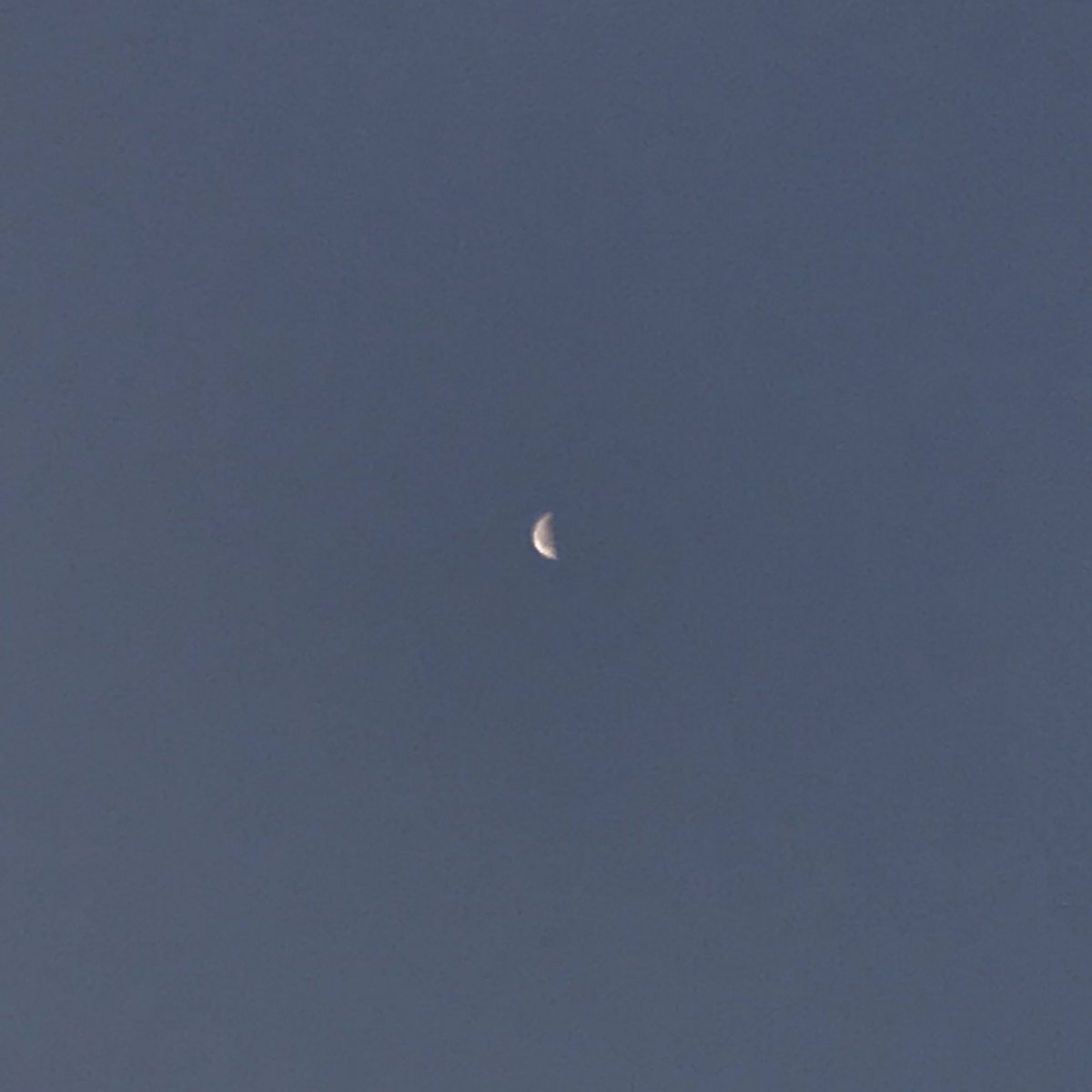 gxtmoons's tweet photo. น้องดาวศุกร์เป็นจุดเล็กๆ
ส่วนคุณพระจันทร์ก็น่ารักไม่เบา https://t.co/62OmBZ2Dft