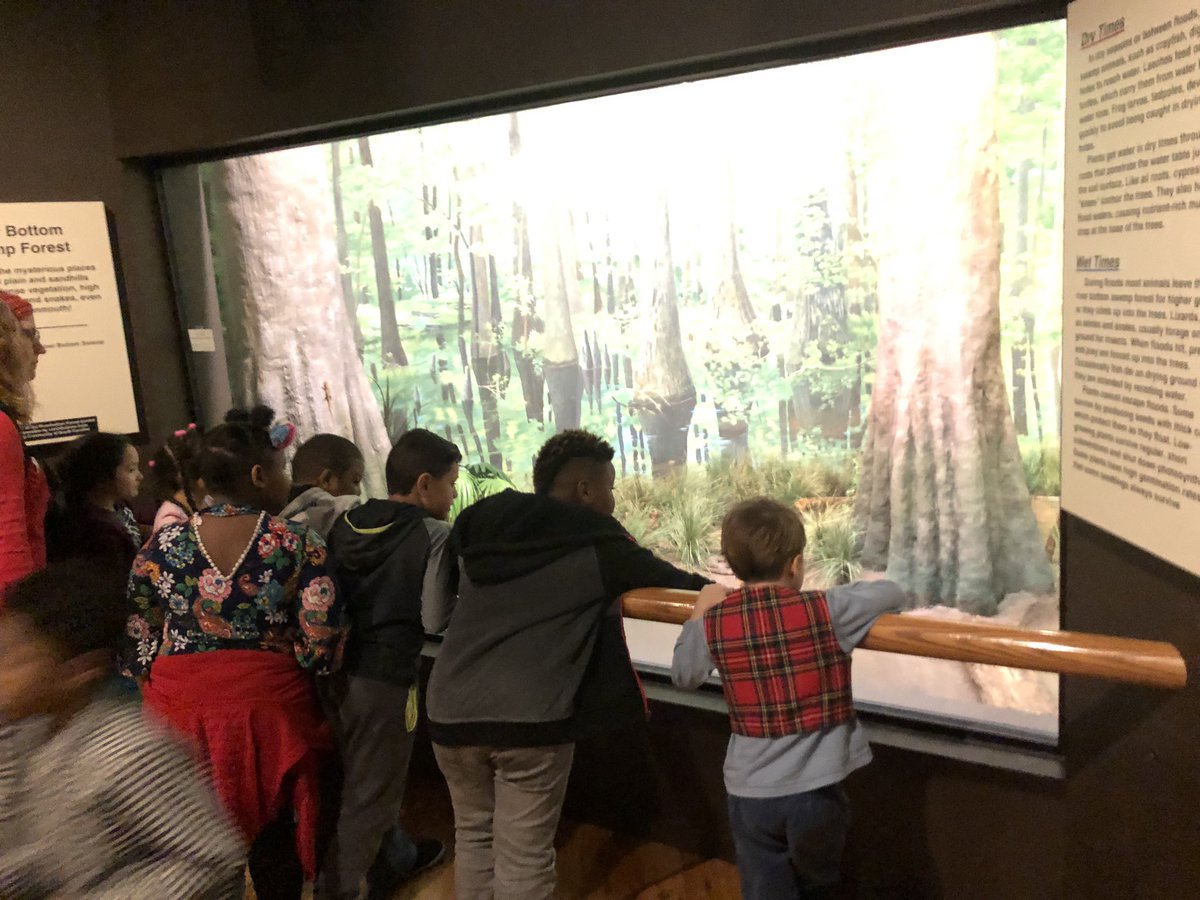 Kesars_peacocks's tweet photo. 1st grade takes over the state museum! @TalentedTigers @NSECrickets @kkaufmanNSE @NSEKilgoreSTEMS @campcobb22 @MsThompsonNSE https://t.co/a6toPfnXIr