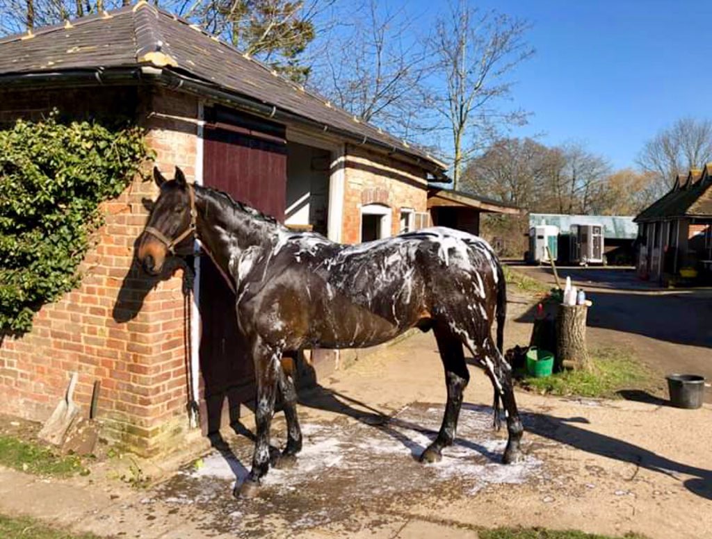 KempKatherine's tweet photo. Making the most of the amazing weather ☀️☀️ https://t.co/GL2IRdLWyE