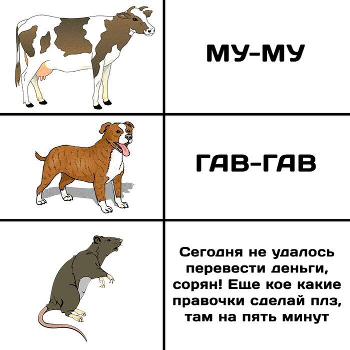 Ну ШТОШ. Поехали.

1 лукас - 1 факт о коммуникации дизайнера с душным заказчиком.

И все оттуда вытекающее. 
Плюс мемусы.