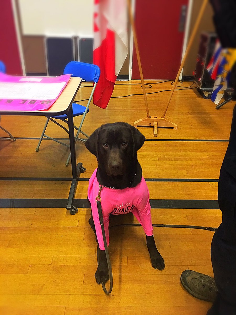 PSD Maverick taking part in <a href="/RHRavens/">@RHRavens</a> 21 days of kindness and launch of #PinkShirtDay