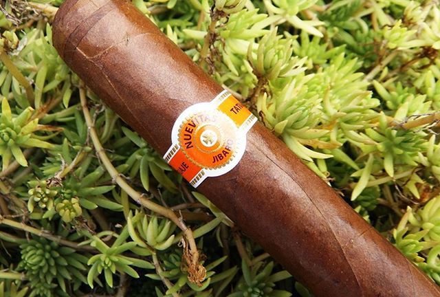 CheapHumidors's tweet image. #Tatuaje Nuevitas in honor of Tat Tuesday. An excellent #Nicaraguan puro
#TatTuesday, #Tatuaje, #PeteJohnson, #NicaraguanPuros