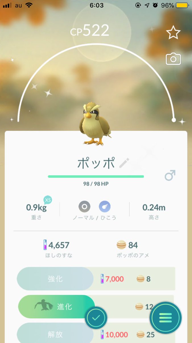 ポケモンgo速報 ポケモンデーが開始 色違いポッポ コラッタに花飾りイーブイなどが出現中 ポケモンgo攻略まとめ速報